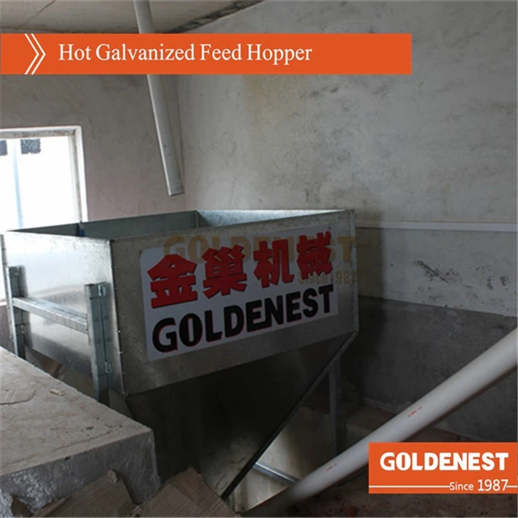 Customized Poultry And Pig Farm Feeding Line Feed Pit Hopper Customized Poultry And Pig Farm Feeding Line Feed Pit Hopper