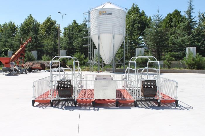 Factory Price Hot Dip Galvanzied Stainless Steel Pig Gestation Farrowing Crates Stall For Sale Factory Price Hot Dip Galvanzied Stainless Steel Pig Gestation Farrowing Crates Stall For Sale